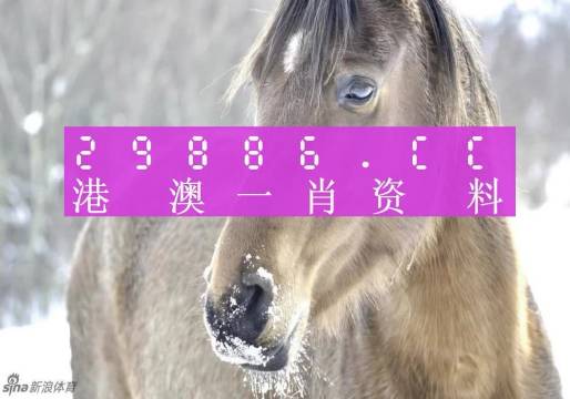 澳门最准平特一肖100%免费|绝对经典解释落实