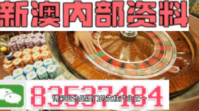 新澳门正版精准免费大全|准确资料解释落实